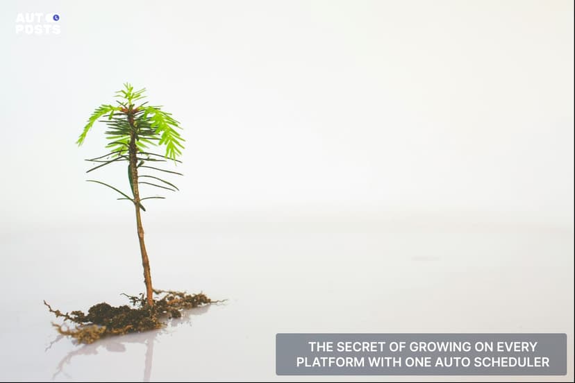 The Secret to Growing on Every Platform with One Auto Scheduler — cover